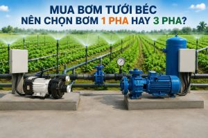 Mua bơm tưới béc, nên chọn bơm 1 pha hay 3 pha?
