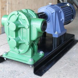Bơm bánh răng chuyên bơm chất đặc sệt ống 90 NTP A06CU1-080 (AM)